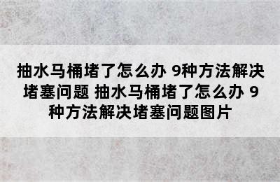 抽水马桶堵了怎么办 9种方法解决堵塞问题 抽水马桶堵了怎么办 9种方法解决堵塞问题图片